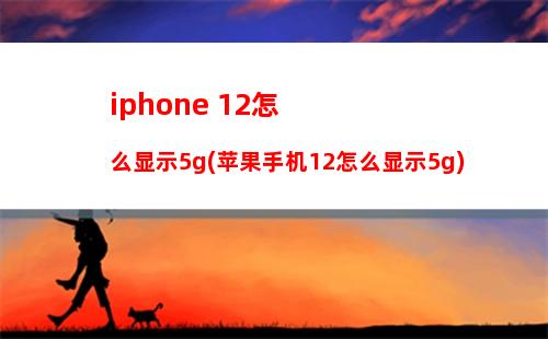 iphone 12怎么显示5g(苹果手机12怎么显示5g)